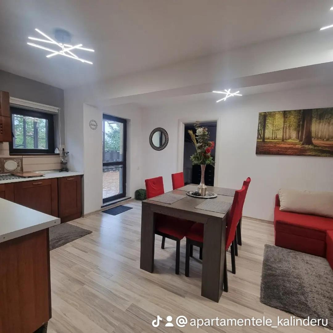 Apartament Kalinderu K2 Буштени Экстерьер фото