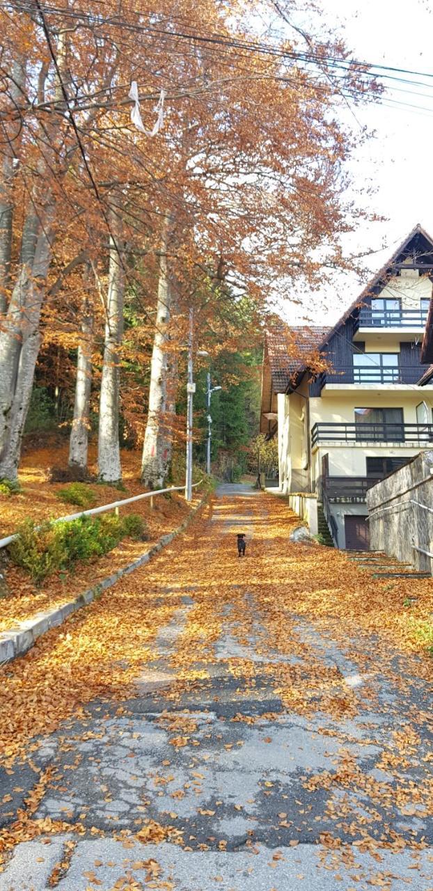 Apartament Kalinderu K2 Буштени Экстерьер фото
